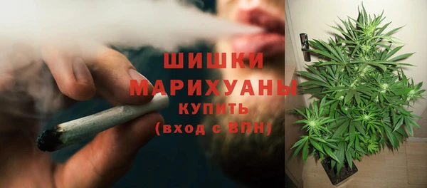 a pvp Тайга