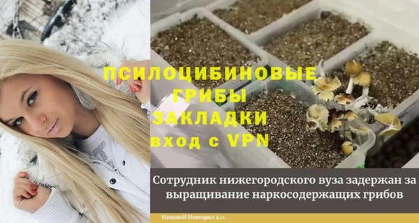прущая мука Бородино