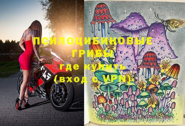 амф Бронницы
