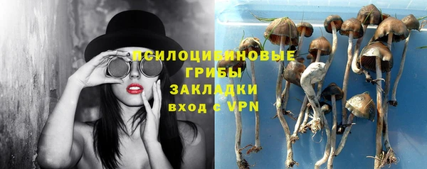 прущая мука Бородино