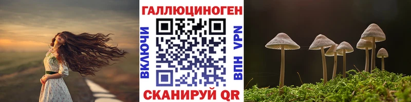 магазин OMG ONION Галлюциногенные грибы Psilocybine cubensis Новый Оскол